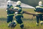 У Львові згоріло поселення ромів – мешканці табору після пожежі вирушили на Закарпаття