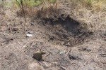 Ворог обстріляв житлові будинки Зайцевого із 122-мм гармат
