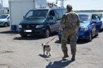 Прикордонники затримали чоловіка, який торгував своїм місцем в черзі на КПВВ "Зайцеве"