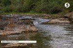 Через вирубку лісів на Закарпатті зникають гірські річки