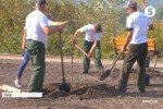 "Дерево життя": У Києві висадили алею кленів у пам'ять про загиблих бійців Нацгвардії 