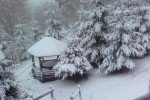 Гірськолижний курорт "Буковель" може відкритися через 2 тижні 