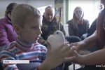 "Зоопарк на дотик": У Києві людей з вадами зору знайомили з тваринами