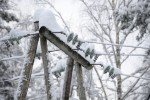 Україну накрив циклон: на Волині без світла 19 населених пунктів, в Карпатах очікуються лавини