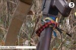 Під Авдіївкою загинув колишній викладач Чернівецького університету