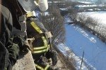 Операція "Порятунок чотирилапого": Робітники ДСНС витягли з висоти дев'ятого поверху застряглого собаку