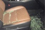 У Києві грабіжники напали на народну артистку України