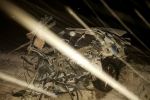 "Автівку практично розірвало":  У Харкові вантажівка протаранила іномарку