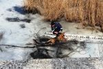 "Ледве борсалася та скавчала": як з крижаної води діставали переляканого песика