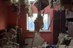 "Дивом залишився живим": з розтрощеного терористами будинку поліцейські евакуювали сліпого дідуся