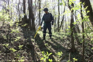 Авіаснаряди на Вінниччині