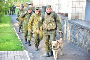 Оперативне відпрацювання