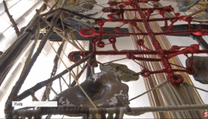 Квіти у ботсаду