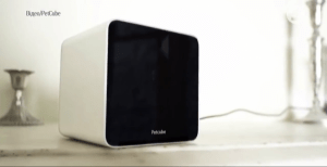 Українські старт-апи