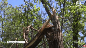 Наслідки обстрілів