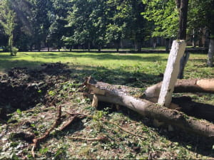 Наслідки обстрілу Красногорівки