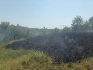на острові Хортиця невідомі намагалися спалити Запорізьку Січ