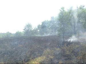 на острові Хортиця невідомі намагалися спалити Запорізьку Січ