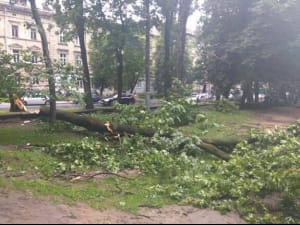 Наслідки негоди у Львові