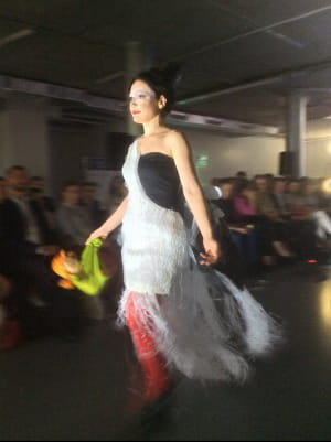 показ екоодягу в Києві