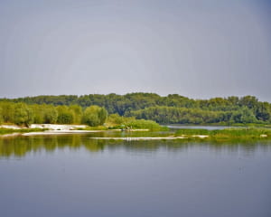 Еко-будинки