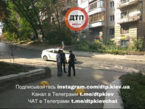 стрілянина у київському парку