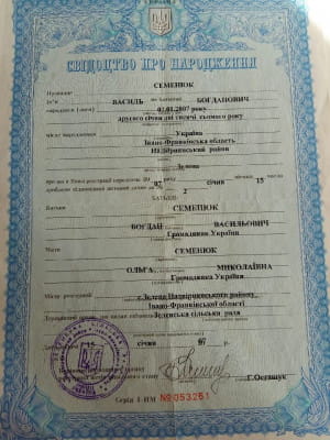 Допомога Васильку
