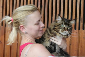 Виставка котів у Києві