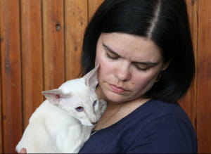 Виставка котів у Києві