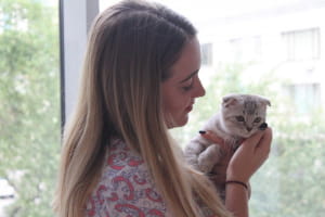 Виставка котів у Києві