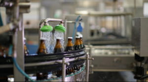 Виготовлення пива