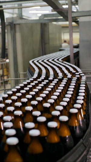 Виготовлення пива