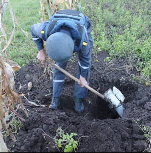 Калинівка, сапери працюють