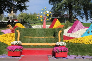 Виставка хризантем на Співочому полі