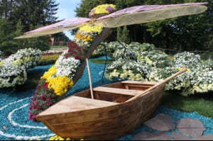 Виставка хризантем на Співочому полі