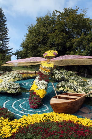 Виставка хризантем на Співочому полі