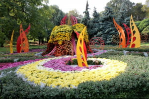 Виставка хризантем на Співочому полі