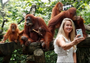 Еліна Світоліна