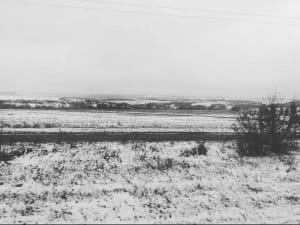 Перший сніг у Харкові та області