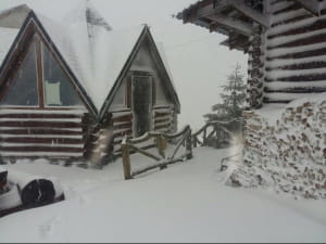 Карпати засипало снігом