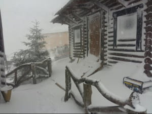 Карпати засипало снігом