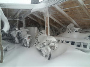 Карпати засипало снігом