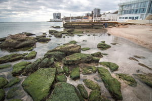 Осіннє море в Одесі