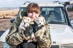 Собаки та коти на передовій