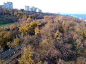Одеський Ланжерон восени