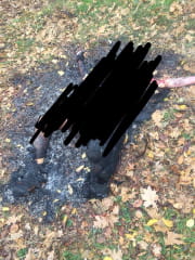 Ритуальне вбивство на Одещині