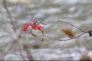 Осінні дні в Одесі