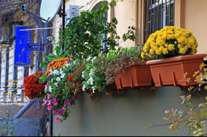 Осінні дні в Одесі