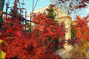 Осінні дні в Одесі