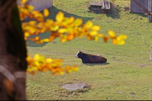 Осінні дні в Одесі